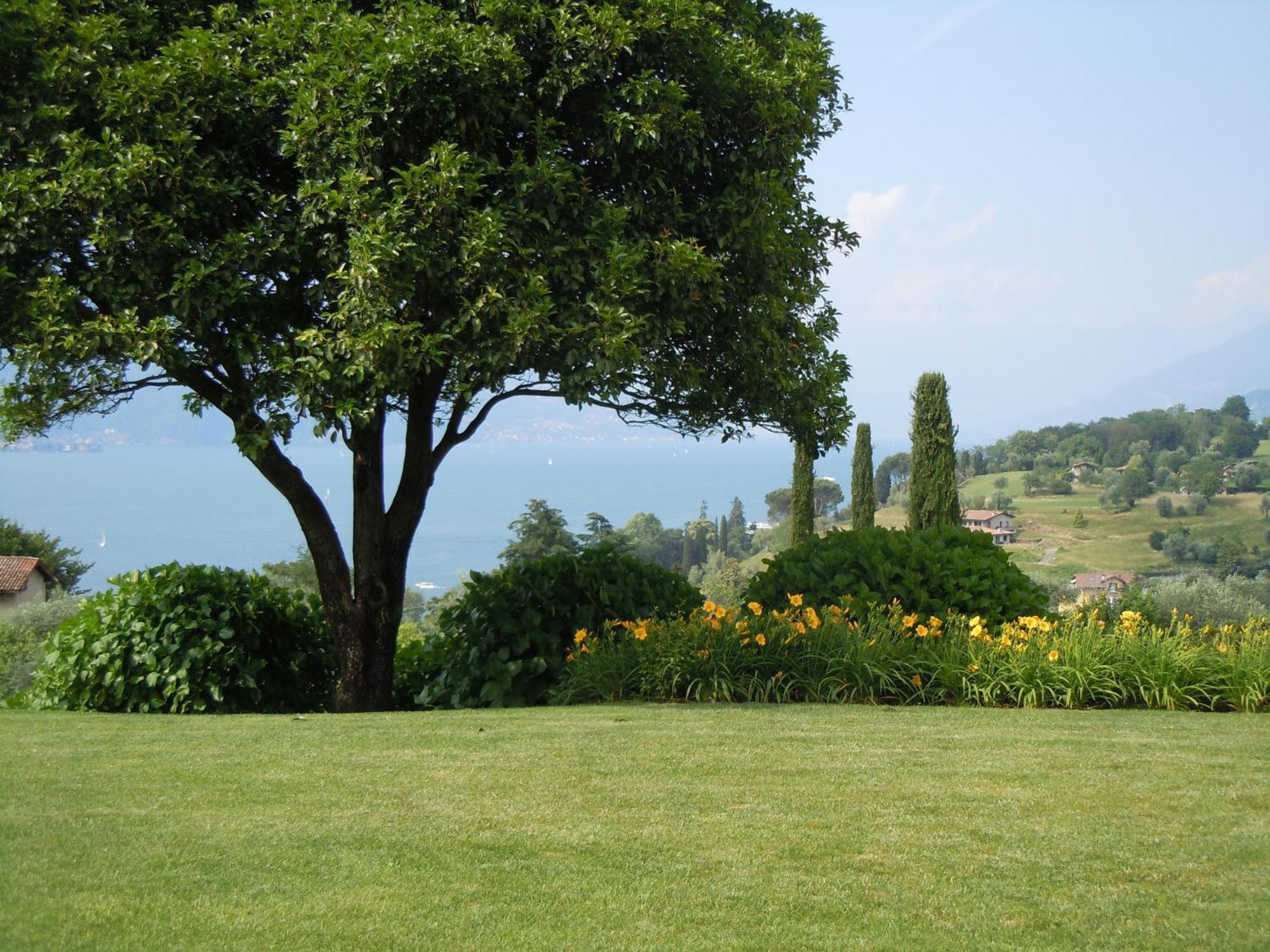 Il Poggio Di Bellagio Aparthotel Bagian luar foto