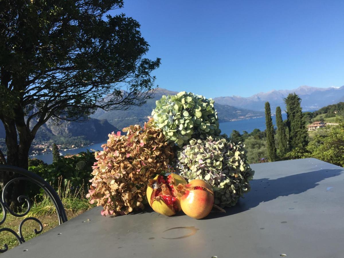 Il Poggio Di Bellagio Aparthotel Bagian luar foto